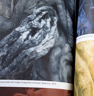 Ehrendiplom: Niederlande