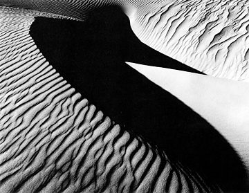 Dune von Brett Weston