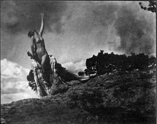 Soul of the Blasted Pine, Anne W. Brigman
