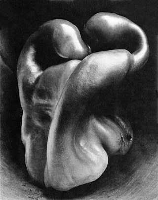 Pepper No. 30 by Edward Weston