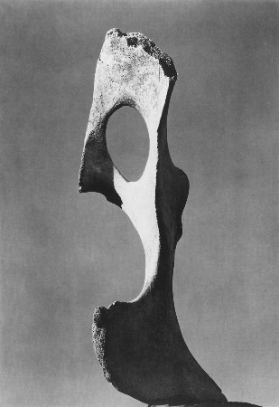 Bone and Sky by Willard van Dyke