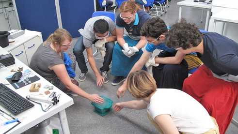 Joint experiments at the TU Dortmund