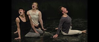 "Reverbs und Dust Devil - zwei Stücke an einem Abend"