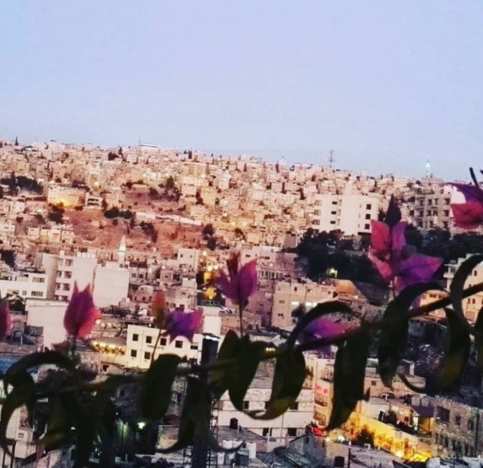 Stadtbild von Amman, mit pinken Blüten im Vordergrund