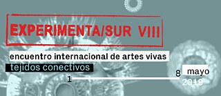 Experimenta/Sur VIII