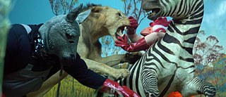 Weasel Dance: Die Imitation in der postdigitalen Kontingenz