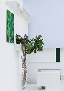 Installation by Rasso Rottenfusser