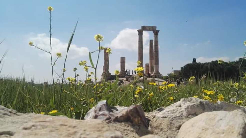 A hill with a citadel in ruins. Rocks and grass with yellow flowers in the foreground.