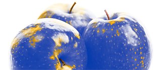 3 blaue Äpfel mit gelben Flecken (Europa)