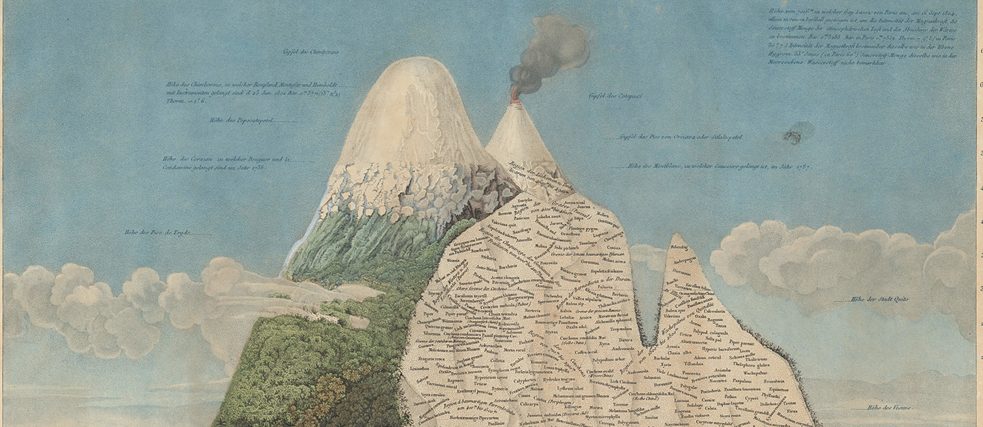 Botanische Karte des Vulkans Chimborazo