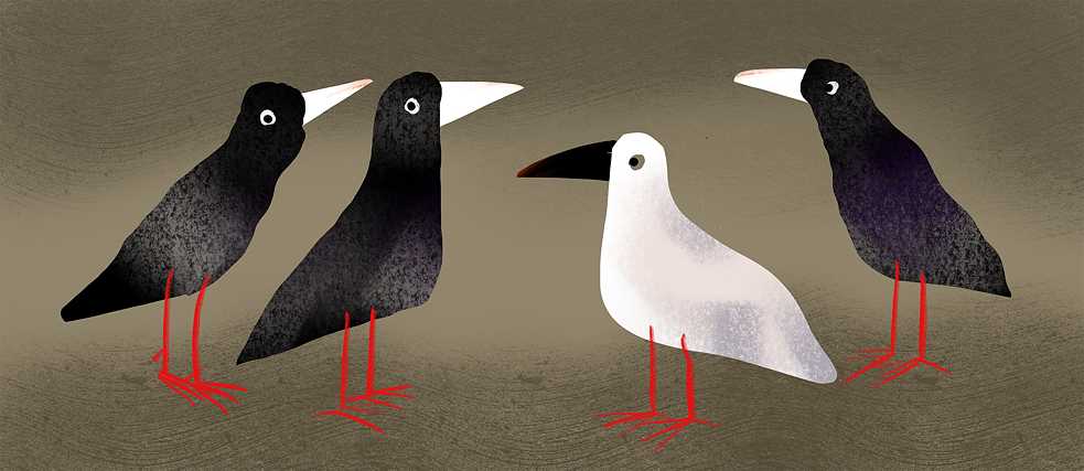 Klartexte, Grafik: Kristóf Ducki
