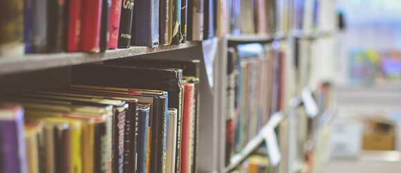Bücherregal