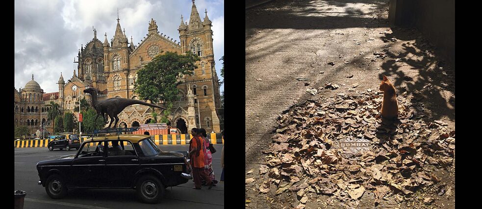 Shifting City - Pictures of Ritesh Uttamchandani