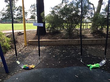 FelixundFranzischaukeln