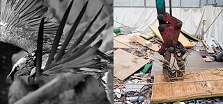 „Hidden Powers - Wasted Energies“