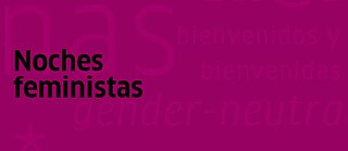 Banner Feministische Nächte