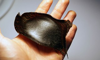 Kaffeeform  &copy; © Kaffeeform Kaffeeform