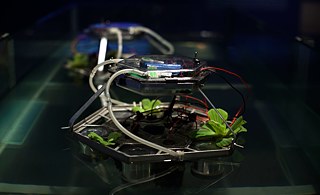 “Caravel”. Ivan Henriques. 2016. Foto: divulgación. Cortesía del artista. 