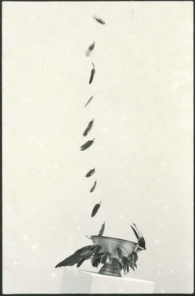 „Elogio ao voo“ (Lob dem Fliegen). Jonier Marín. Aus der Einzelausstellung „Amazonia Report“, Pinacoteca do Estado de São Paulo 1976. Foto: Gerson Zanini. Mit freundlicher Genehmigung der Pinacoteca do Estado de São Paulo.