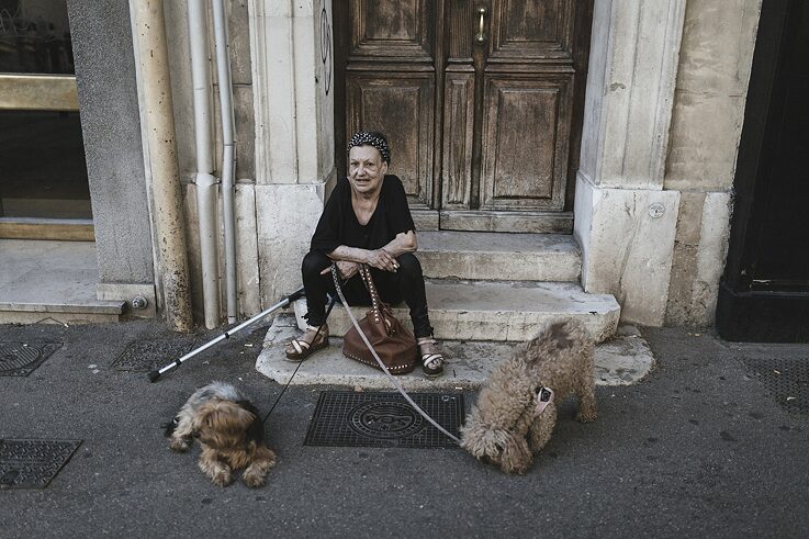 Eine Frau und ihre Hunde beobachten im Stadtzentrum das Treiben auf der Straße. 