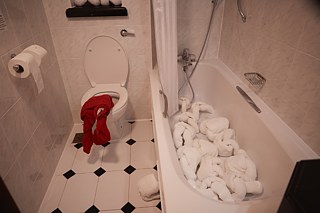 Folding Europe Towel Art Performance - bathroom