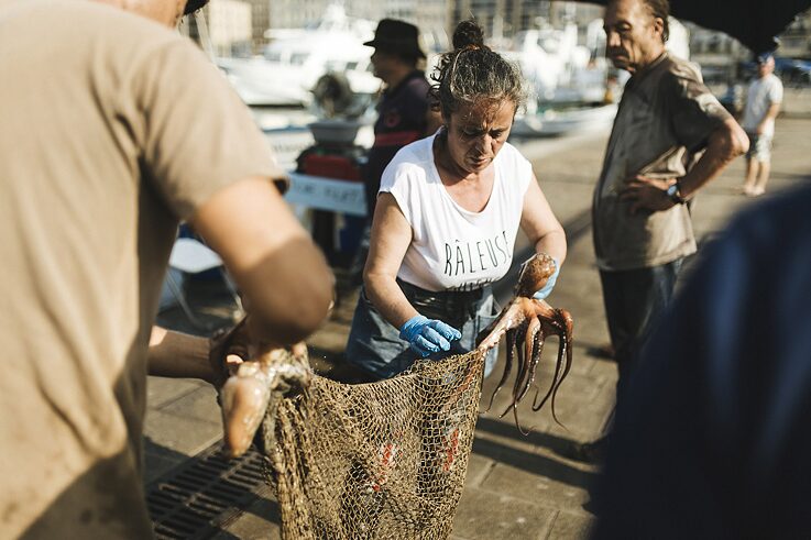 Héléne pulls an octopus from a net. 