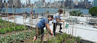 Szene Taste the Waste 