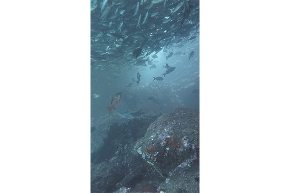 Gianfranco Foschino, Chile. “La edad de la tierra”, detalle de la instalación en la 13° Bienal de Cuenca, still de video, 2016. Cortesía del artista.