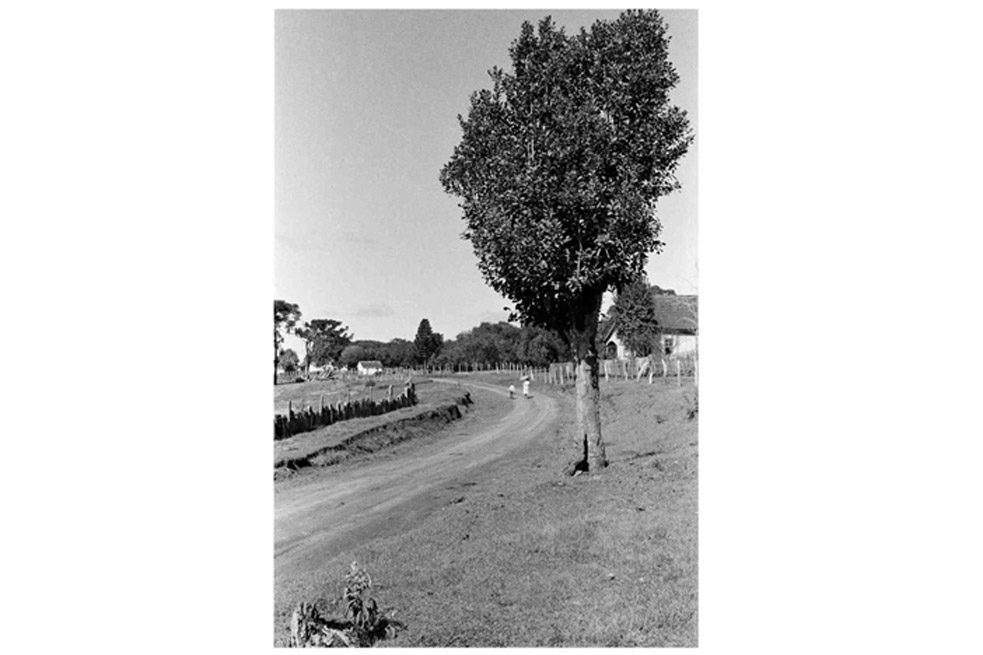 Maria Thereza Alves, Brasil. Fotografía del libro de artista “Recipes for Survival”, University of Texas Press, 1983/2018. Cortesía de la artista.