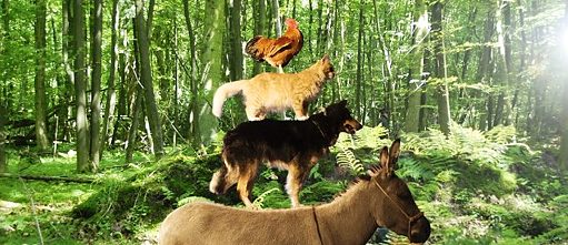 Die Bremer Stadtmusikanten