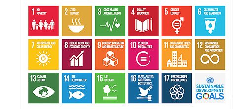 17 objetivos de Desarrollo Sostenible