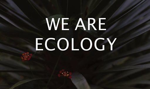 We are Ecology