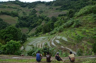 Landschaft in Nanaland