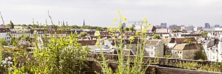 Blick von einer mit Pflanzen bewachsenen Dachterrasse über Berlin