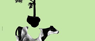 Das aus auf Monkey Island