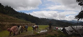 Up Down & Sideways @ TFA