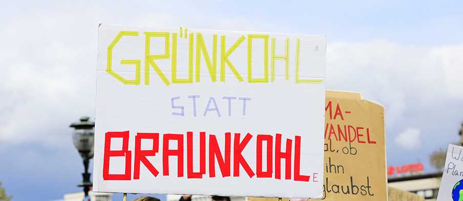 Grünkohl statt Braunkohle