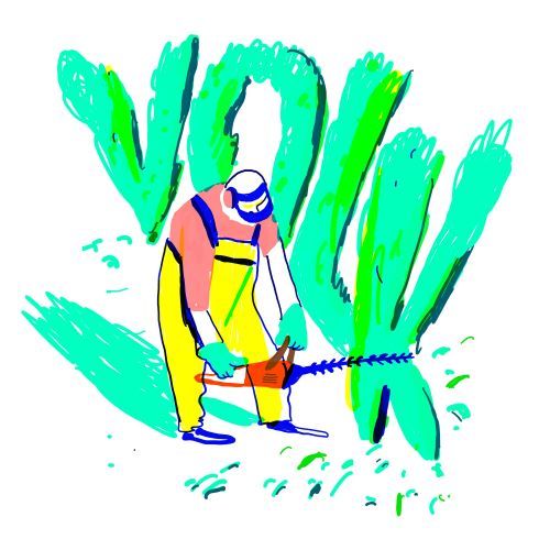 Das Volk