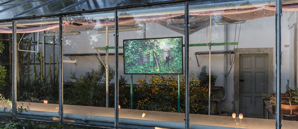 Flo Kasearu: Startup 25 (2018) e (De)Fence (2014) alla mostra <i>Freiheit zur Freiheit II</i>, 2018. 