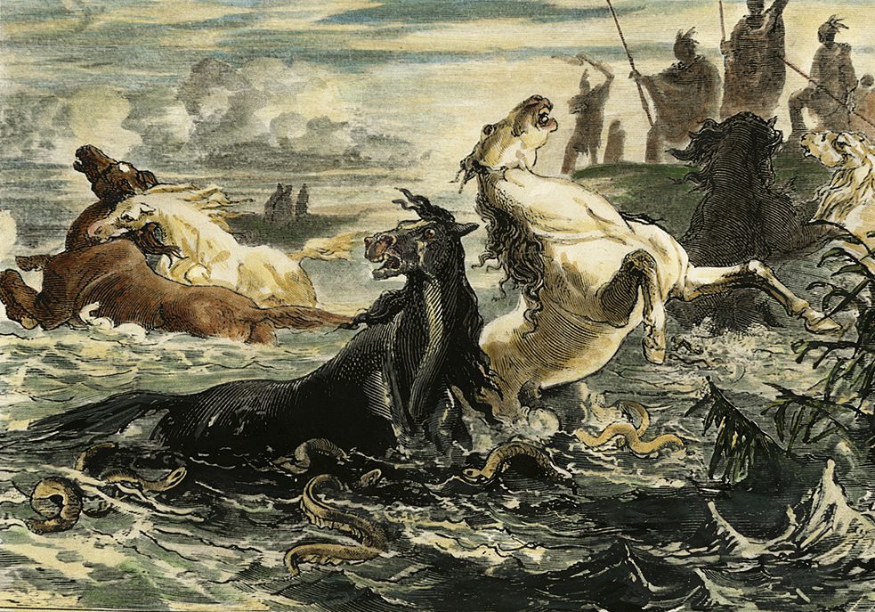 Captura de poraquês com cavalos no Rio Orinoco.  Humboldt provou, com este experimento, que as enguias também atacam animais terrestres. Xilogravura do ano de 1870. 
