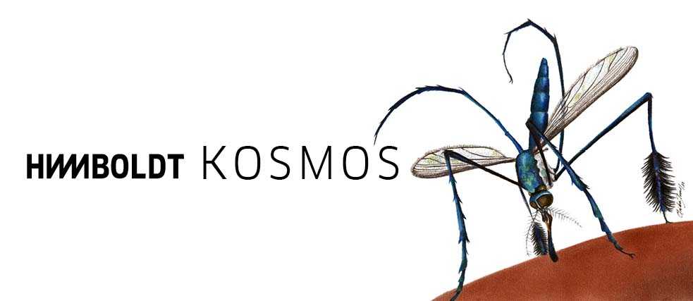   Headline Kosmos 