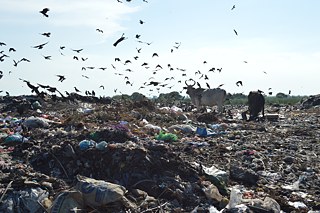 Seed grant project of Ramanathan Parilojithan 