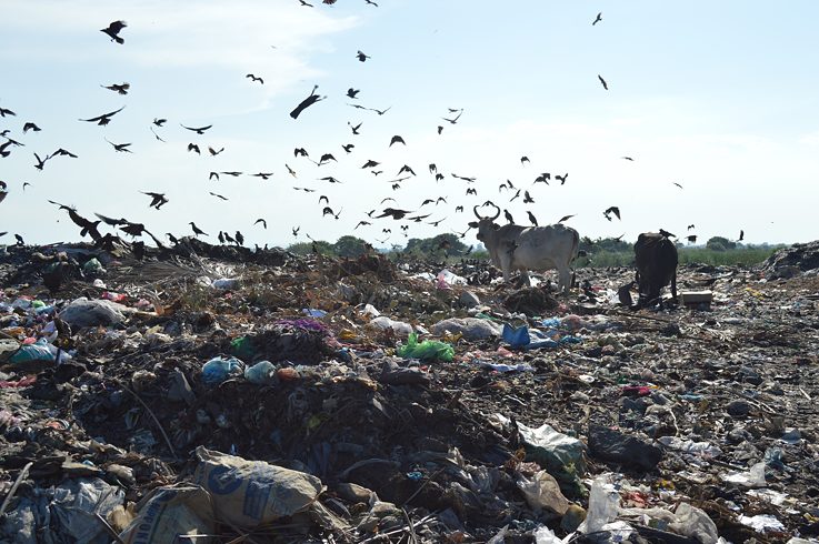 Seed grant project of Ramanathan Parilojithan 