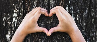 Zwei Hände formen ein Herz auf einer Baumrinde.