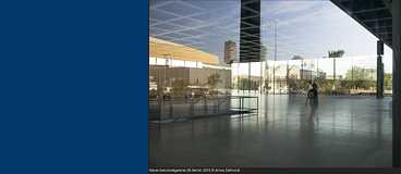Mies Project
