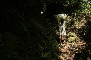  Seed grant project of Munira Mutaher and Shehan Obeysekera