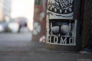 Homo Riot