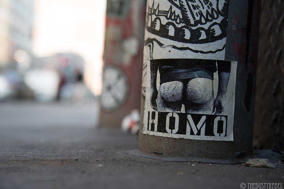Homo Riot