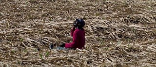 impresiones de los talleristas