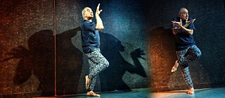 Liminal: Below the Edge von ASTAD DEBOO